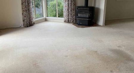 Big family home, lots of storage - Photo 2