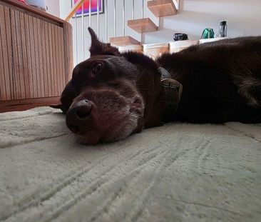 Brighton East - Photo 4