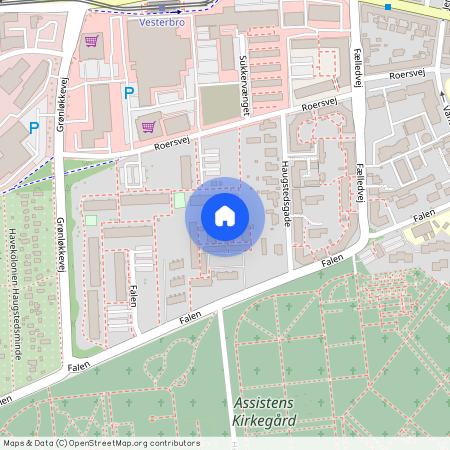 Falen 51D, 1., Odense