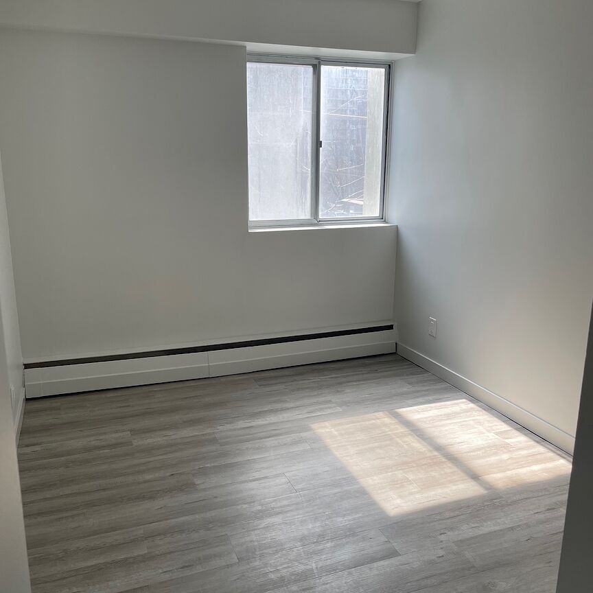 Mid-rise apartment building in Centretown - One-month free rent on 12-month lease! - Photo 1