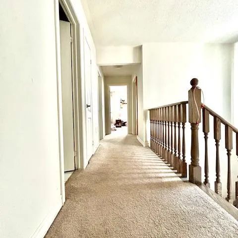 1449 CHRETIEN STREET - Photo 1