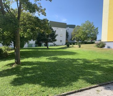 3-Zimmer-Wohnung in ruhiger Lage! - Photo 2