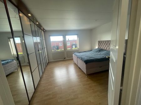 Gullvivestigen, Bro - Foto 2