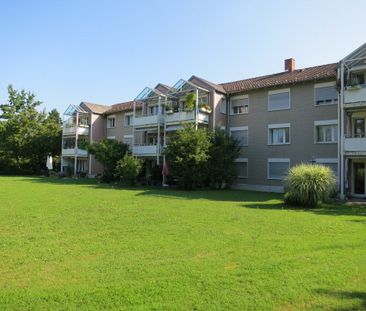 3 Zimmer-Wohnung in Feldmeilen mieten - Foto 3