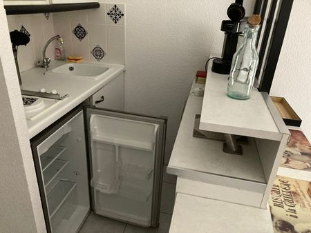 Location Appartement 1 pièce 18m² - Photo 4