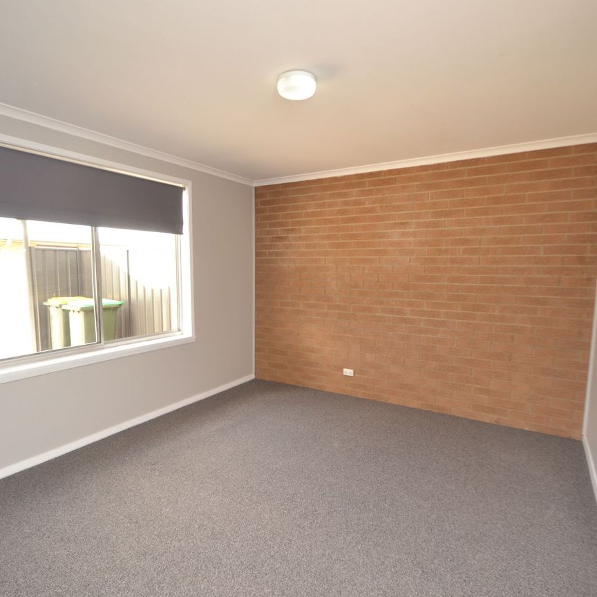 Renovated Unit with Large Yard. Water Usage Included. - Photo 1