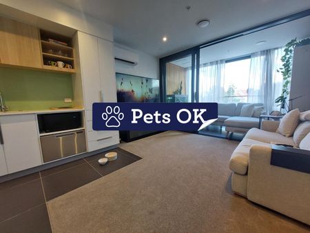 1 Bedroom mordern apartment - Handbag dog or Cat is welcome! - Photo 3