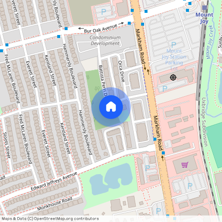 48 Battista Perri Drive, Markham