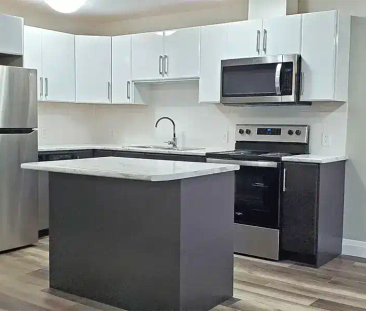155 Hagar Street — 1 Bedroom Deluxe - Photo 2