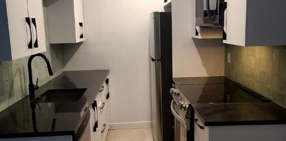 2 1/2 - Montréal (Le Plateau Mont-Royal) - 1 495 $/mois - Photo 2