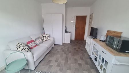 Location Appartement 1 pièce 17m² ORLEANS 45000 - Photo 3