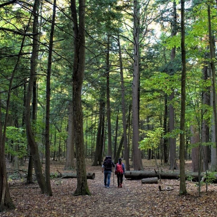 For Lease - 7439 Kinston Road Unit# 314, Toronto, Ontario - Photo 1