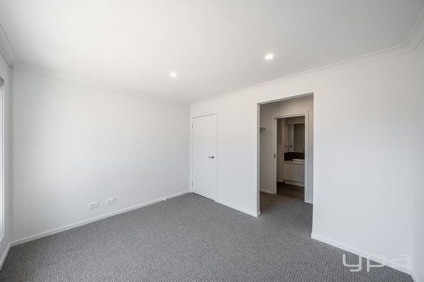 Brand New Living! - Photo 1