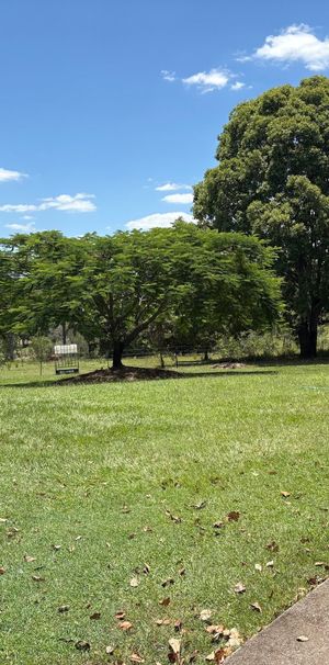 Upper Caboolture - Photo 1