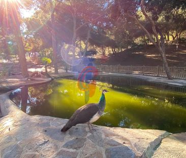 Guardamar Del Segura - Photo 3