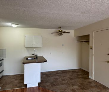 1 Bedroom Pet Friendly Apartments at Bridgeview!! - Photo 6