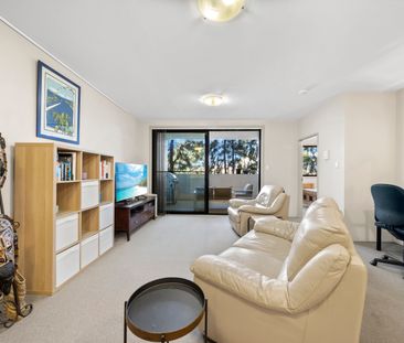 33/3A Stornaway Road - Photo 2