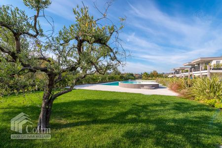 Three-rooms Apartment in residence with swimming pool in Lazise (Lazise) - Photo 3