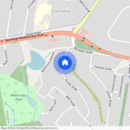 12 Kunde Street, QLD 4130, Cornubia