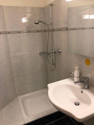 4.5 Zimmer, 114 m², 1. Stock - Foto 1