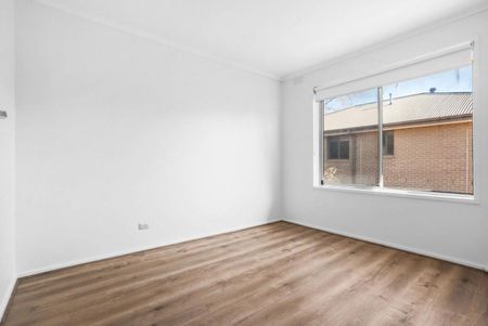 SPACIOUS | FRESHLY PAINTED | GREAT LOCATION - Photo 2