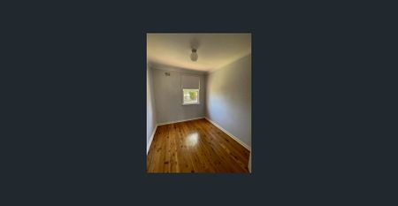 Cute, Charming property located in South Dubbo - Photo 4