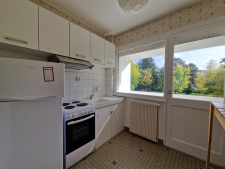 Location Appartement 1 pièce 29m² ANNECY LE VIEUX 74940 - Photo 3