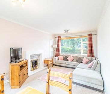 2 bedroom semi-detached house to rent - Photo 2