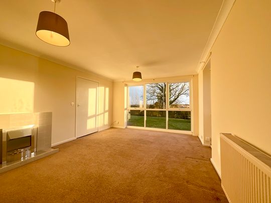 2 bedroom Detached Bungalow to let - Photo 1