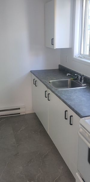 GRAND 3 & ½, TRÈS FENESTRÉ - Photo 1