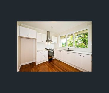 Light-Filled Two-Bedroom Apartment with Leafy Outlook - Photo 4