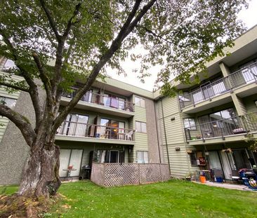 Cedartree Village - Photo 4