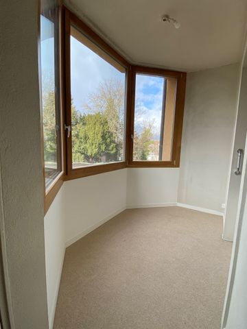 Magnifique appartement proche du quartier des Eaux-Vives - Photo 3