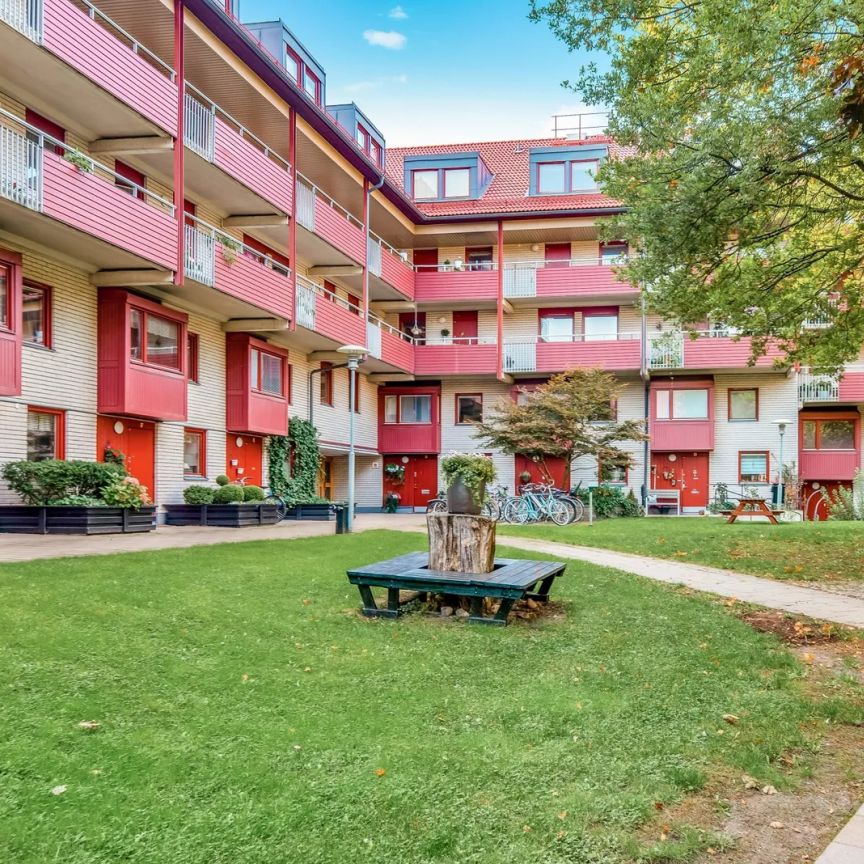 Karolinagatan, Solna - Photo 1