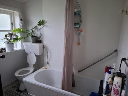 43 Stewart Street, Marton - Photo 4