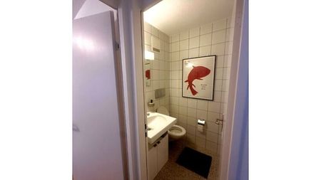 2½ Zimmer-Wohnung in Zürich - Kreis 4, möbliert, auf Zeit - Photo 5