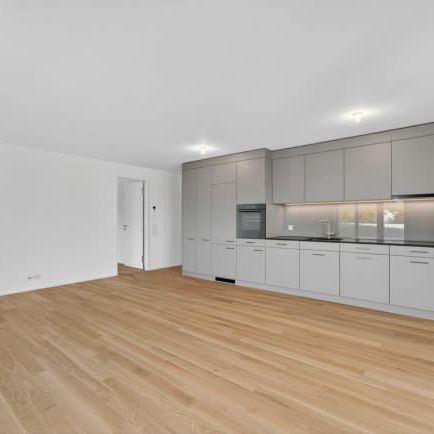 3.5 Zimmer, EG - Photo 1