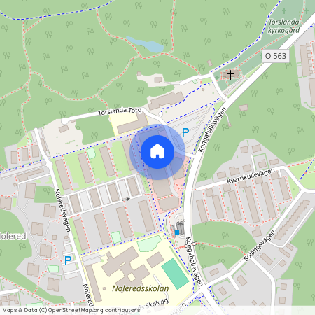 Göteborg, Torslanda Torg, 4, 42332