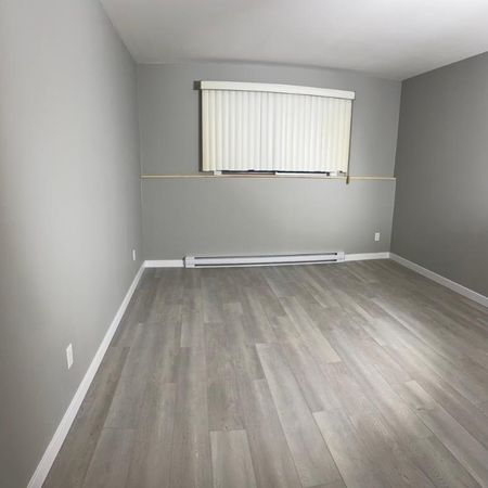 Très beau et paisible 31/2 à louer à St-Eustache - Photo 4