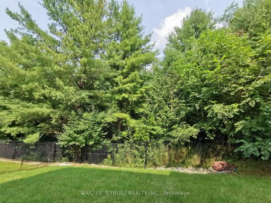 Detached Home For Lease | N9254535 - Photo 1