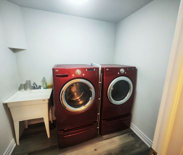 For Lease - 5 Southvale (Basement) Drive, Vaughan, Ontario - Photo 4