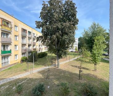 Warszawa, Erazma Ciołka - Photo 6