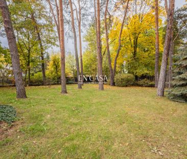 Blisko stacji PKP | Starodrzew - Photo 6