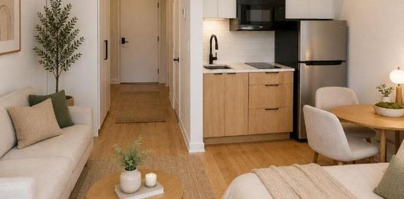 1 CH - 1 SDB - Montréal - $995 /mo - Photo 2