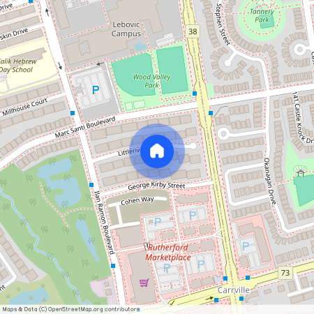 53 Littleriver Court, Vaughan