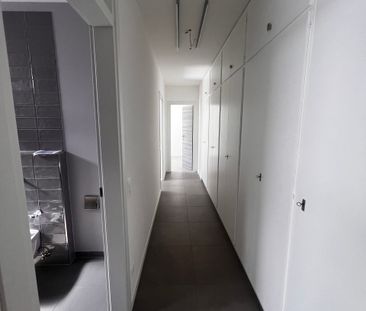 AFFITTASI AMPIO 5.5 LOCALI IN STABILE RECENTEMENTE RINNOVATO - Foto 2