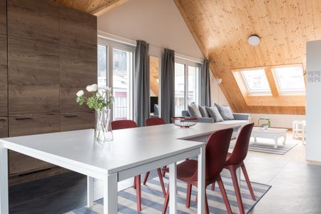 3.5 Zimmer Attikawohnung 20min von HB Zürich - Foto 5