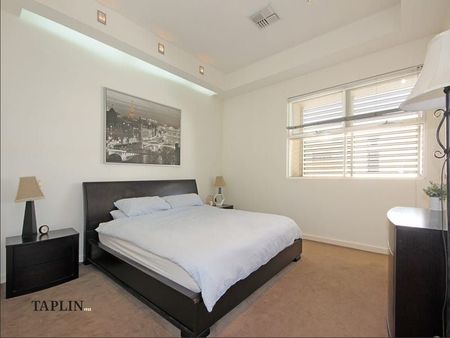 223 Halifax Street, Adelaide - Photo 4