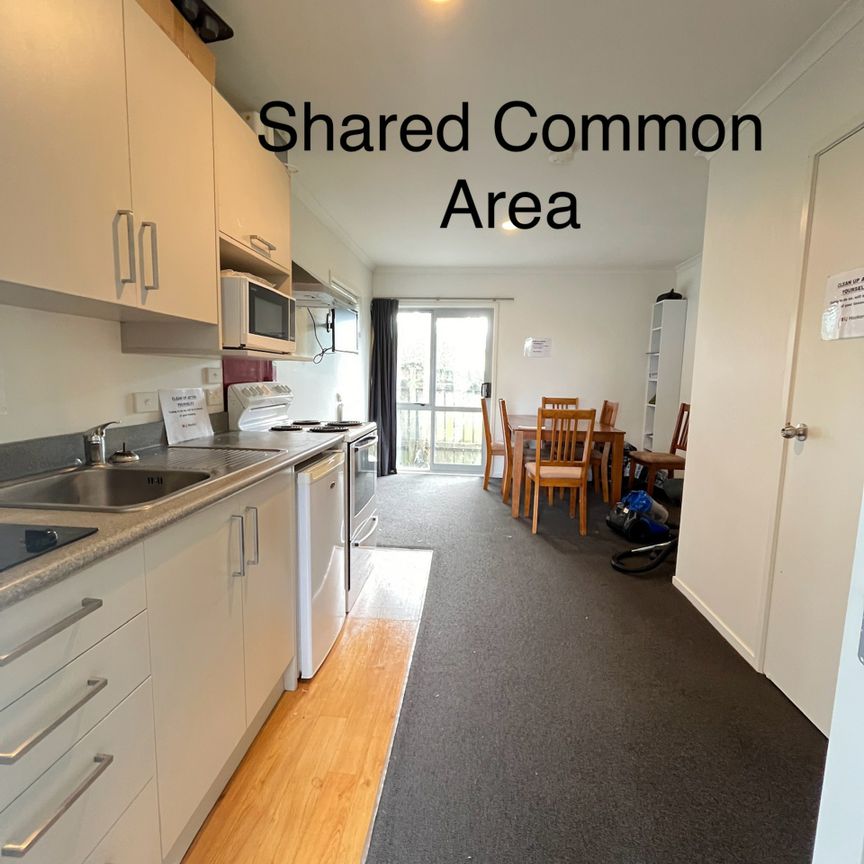 Studio unit available now - Photo 1