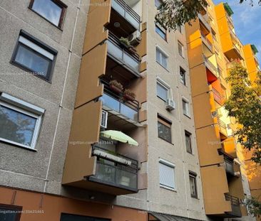 Kiadó panel lakás – 3. fotó